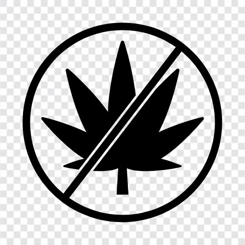 Drug Free, Drug Free Life, Drug Free Society, No Drugs icon svg