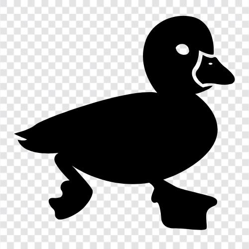 Duck icon svg