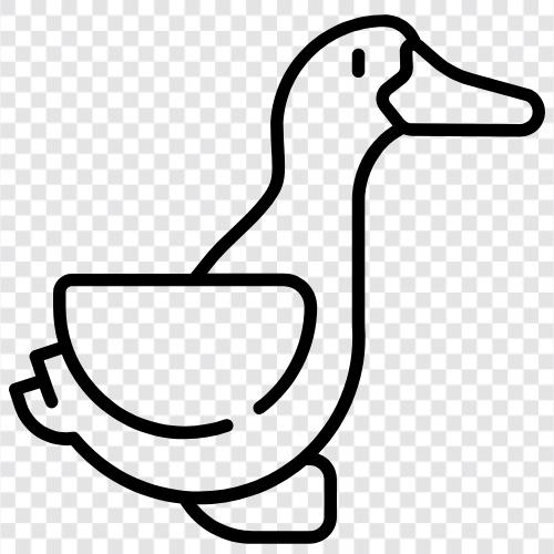 duck icon svg