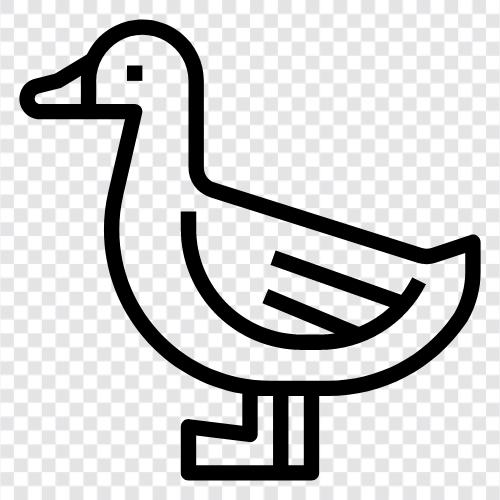 Duck icon svg