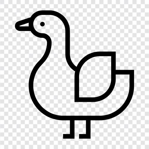 Duck icon svg