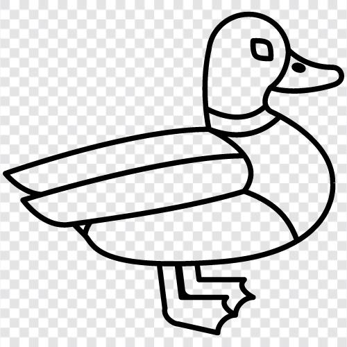 duck hunting, duck hunting gear, duck hunting tips, duck hunting videos icon svg