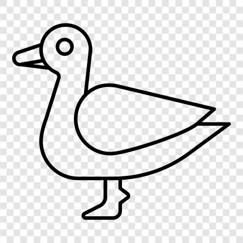 duck icon svg