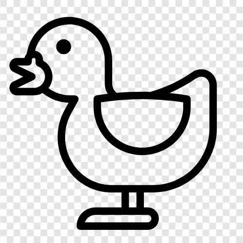 Ördek, Duck ikon svg