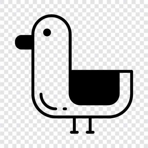 Ördek, Duck ikon svg