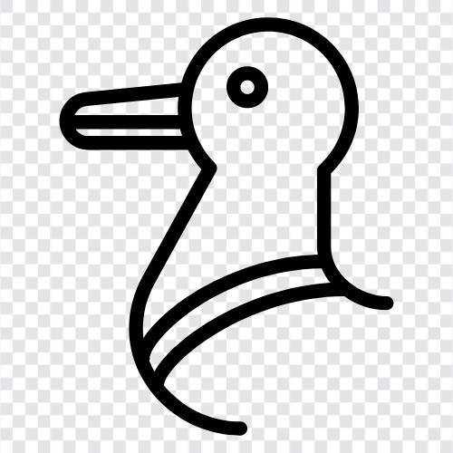 duck icon svg