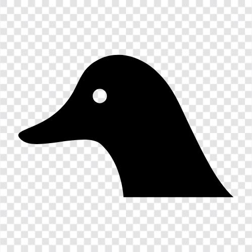 ördek, duck ikon svg