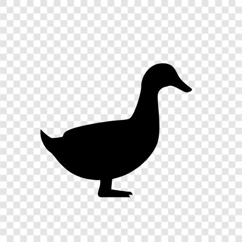 Ente symbol