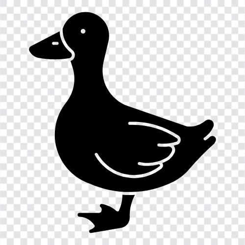 Ördek, Duck ikon svg