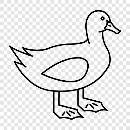 duck icon svg