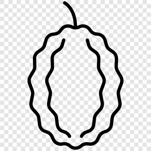 durian, fruit, smell, pungent icon svg