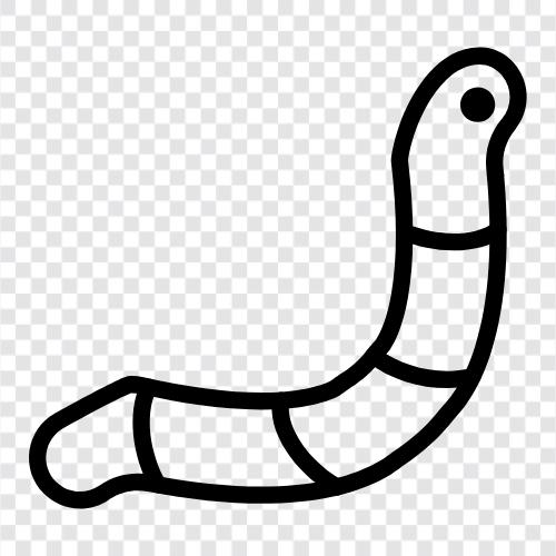 earthworm, nematode, intestinal worm, intestinal nematode icon svg