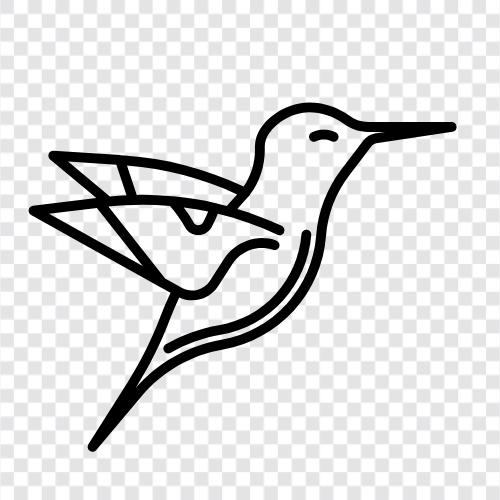 ecology, migratory, lifestyle, flocking icon svg