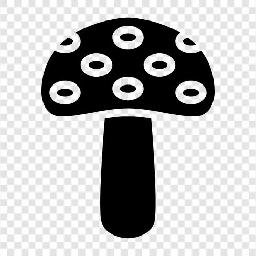 edible, edible mushrooms, wild edible mushrooms, cultivation icon svg