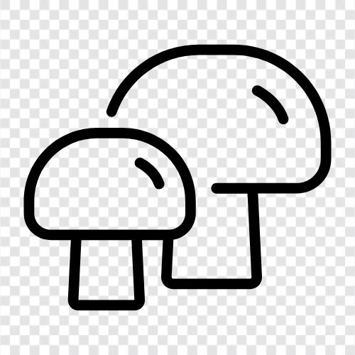 edible, wild, edible mushroom, wild mushroom icon svg