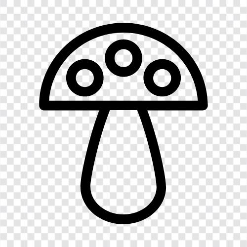 Essbare Pilze, Pilze, Shiitake Pilze, Enoki Pilze symbol