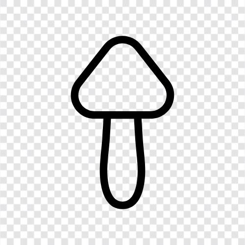 essbar, Pilze, essbare Pilze, kulinarische symbol