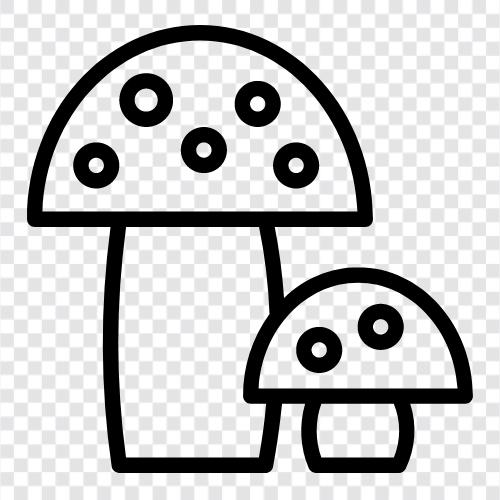 Съедобный, грибок, съедобный гриб, дикий гриб Значок svg