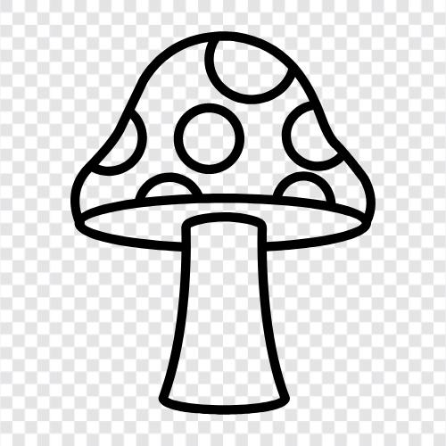 edible, edible mushrooms, edible mushrooms for kids, edible mushrooms for beginners icon svg