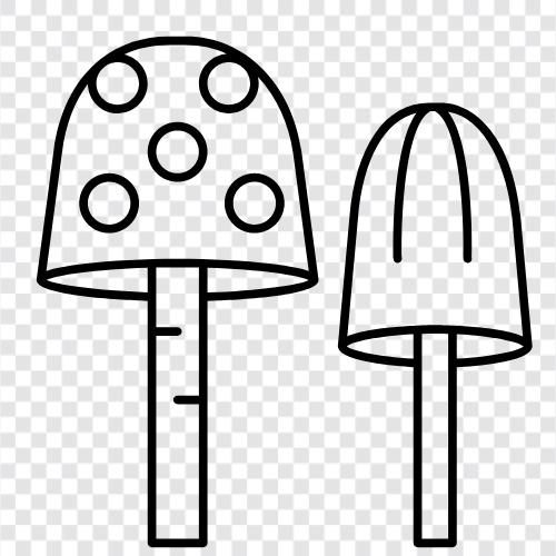 edible, edible mushrooms, wild mushrooms, growing mushrooms icon svg