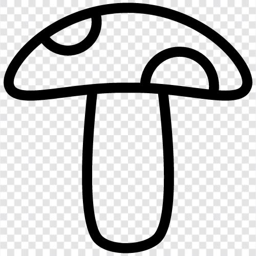 edible, edible mushrooms, edible mushroom grow kit, edible mushrooms for sale icon svg