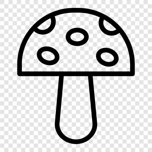 edible, fungus, edible fungi, wild mushrooms icon svg