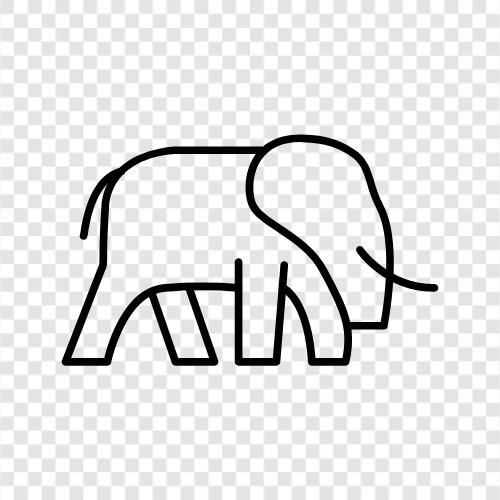 elephant habitat, elephant conservation, elephant population, elephant behavior icon svg