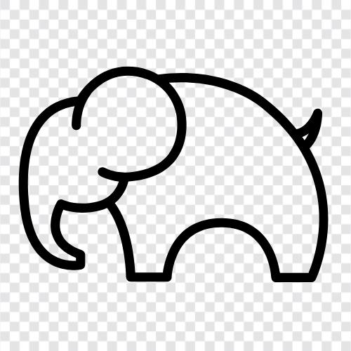 elephant, baby elephant, baby elephant care, elephant care tips icon svg