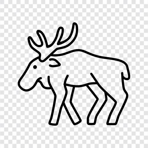 Elk, Caribou, Wildlife, Doğa ikon svg