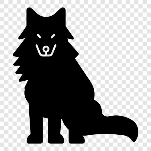 endangered, conservation, wolf, pack icon svg