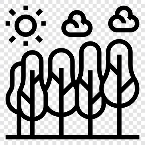 environment, climate, plants, animals icon svg