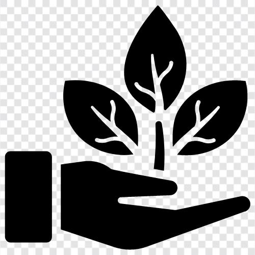 environmental care, environmentalism, environmentalist, ecology icon svg