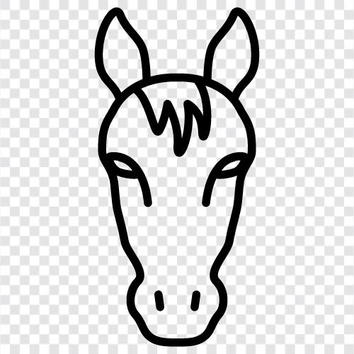 Pferde, Pferdesport, Kutsche, Reiten symbol