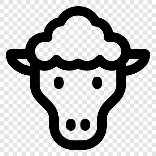 ewes, lambs, kids, flocks icon svg