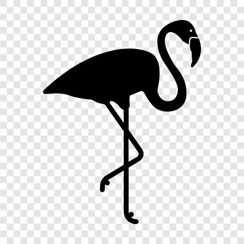 exotic animal, bird, pink, yellow icon svg