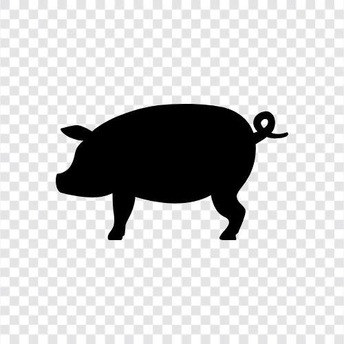 Bauernhof, Tier, Bauernhof Tier, Schwein symbol