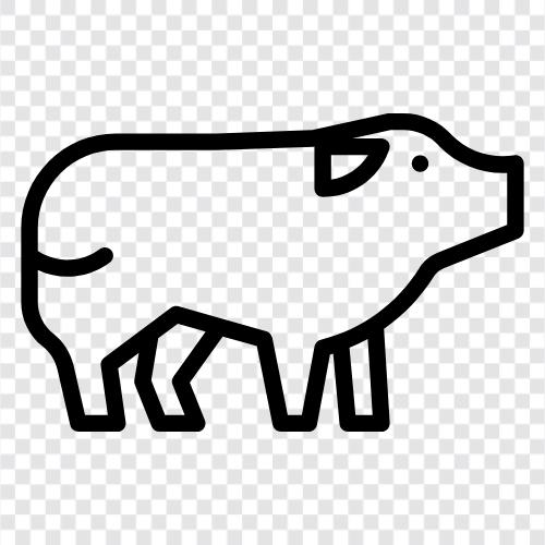 Bauernhof, Schweine, Landwirtschaft, Fleisch symbol