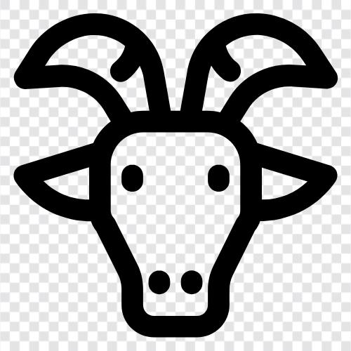 farming, milk, cheese, Goat icon svg