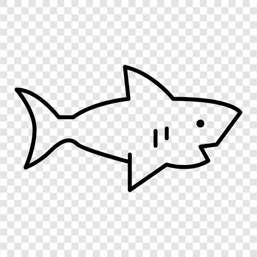 feeding frenzy, hunting, ocean, predatory icon svg