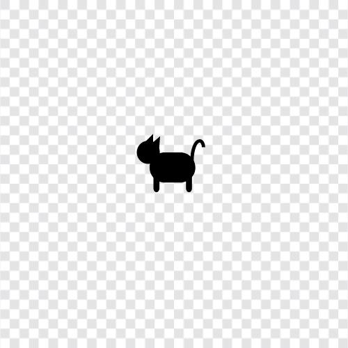 feline, pet, house, breed icon svg