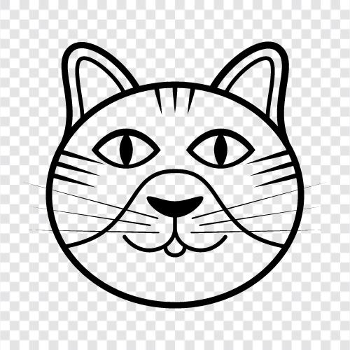 feline, haus, tier, niedlich symbol