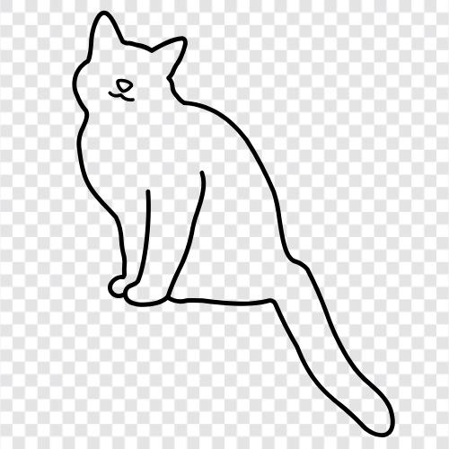 feline, house cat, adoption, pet icon svg