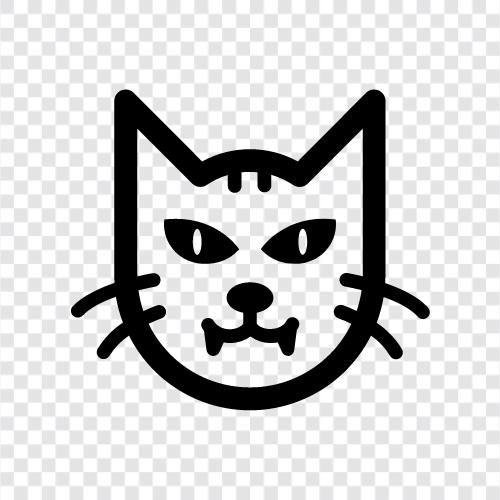 feline, house cat, pet cat, cute cat icon svg