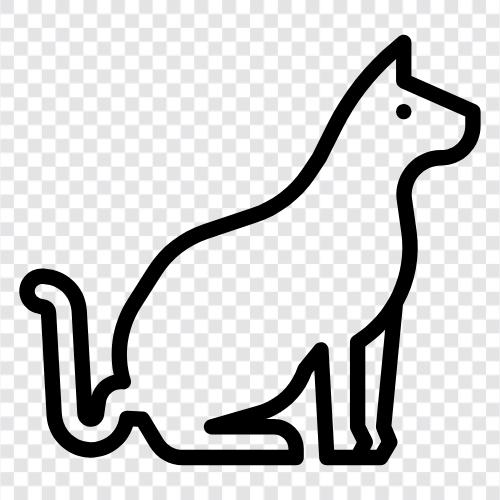 Katzen, Hauskatze, Siamesisch, Ingwerkatze symbol