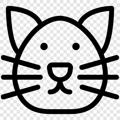 feline, house cat, pet cat, cuddly icon svg