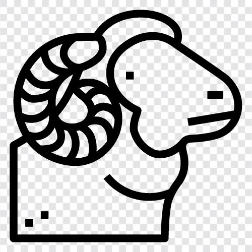 fiber, wool, fiber industry, fleece icon svg