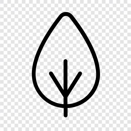 Ficus carica, Ficus religiosa, Ficus benj, Tree bitkisi ikon svg