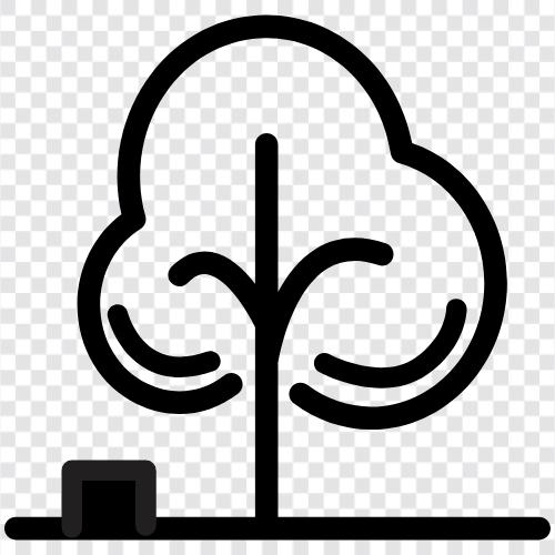 Ficus, Bonsai, Florist, Strauch symbol