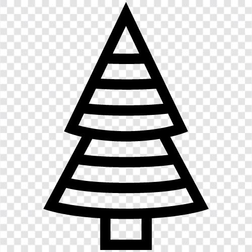 fir needles, fir cones, fir bark, fir tree care icon svg