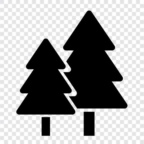 Fir, Weihnachten, Weihnachtsbaum, Weihnachtsdekor symbol